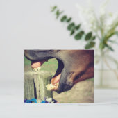 Horse Yawn Briefkaart (Staand voorkant)