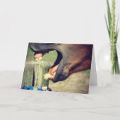 Horse Yawn Kaart (Voorkant)