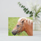 Horsehead 003 briefkaart (Staand voorkant)