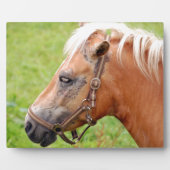 Horsehead 003 fotoplaat (Voorkant)