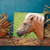 Horsehead 003 fotoplaat (Zijkant)