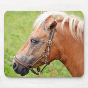 Horsehead 003 muismat