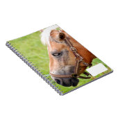 Horsehead 003 notitieboek (Rechterzijde)