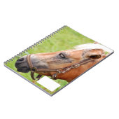 Horsehead 003 notitieboek (Linkerzijde)