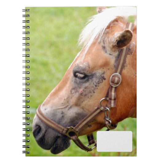 Horsehead 003 notitieboek (Voorkant)