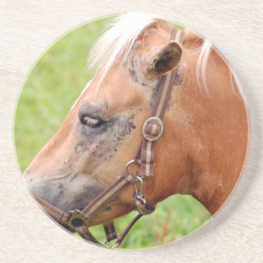 Horsehead 003 zandsteen onderzetter (Voorkant)