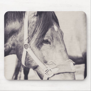 Horsehead 009 muismat