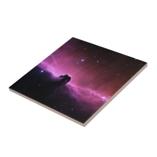 Horsehead Nebula Barnard 33 NASA Tegeltje (Zijkant)