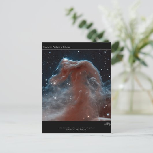 Horsehead Nebula Briefkaart (Staand voorkant)