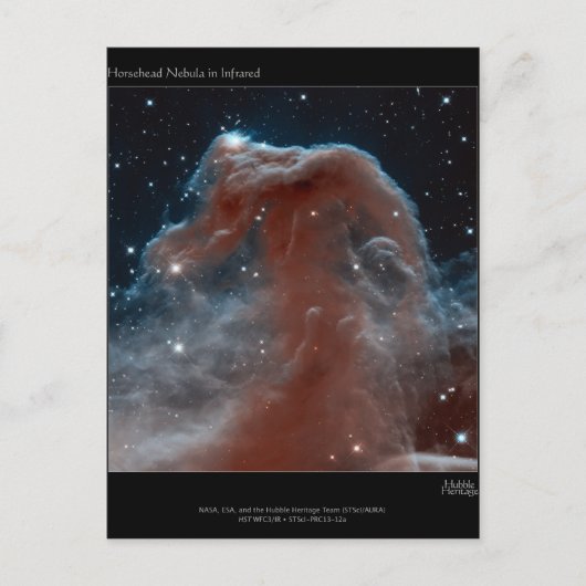 Horsehead Nebula Briefkaart (Voorkant)