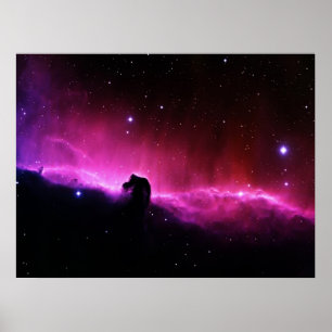 Horsehead Nebula Poster