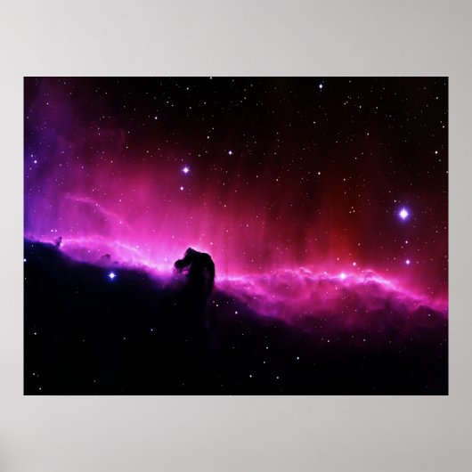 Horsehead Nebula Poster (Voorkant)