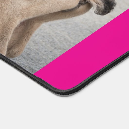 horseie  bureaumat (Hoek)