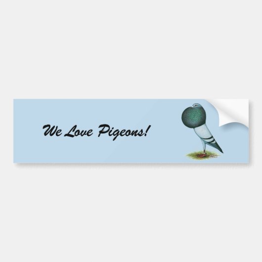 Horseman Pouter Blue Bumpersticker (Voorkant)
