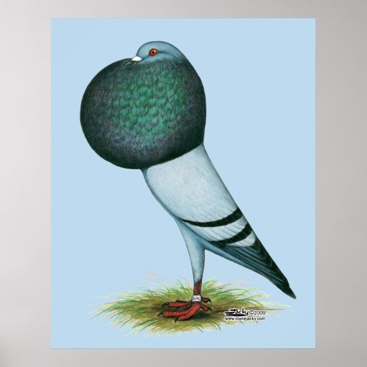 Horseman Pouter Blue Poster (Voorkant)