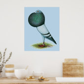 Horseman Pouter Blue Poster (Keuken)