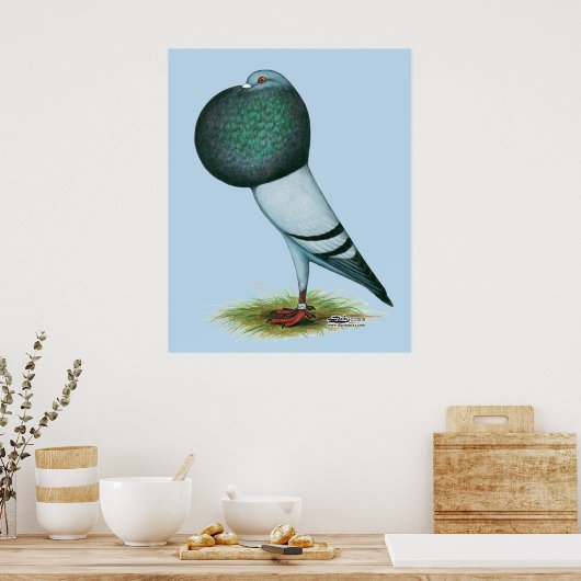 Horseman Pouter Blue Poster (Keuken)