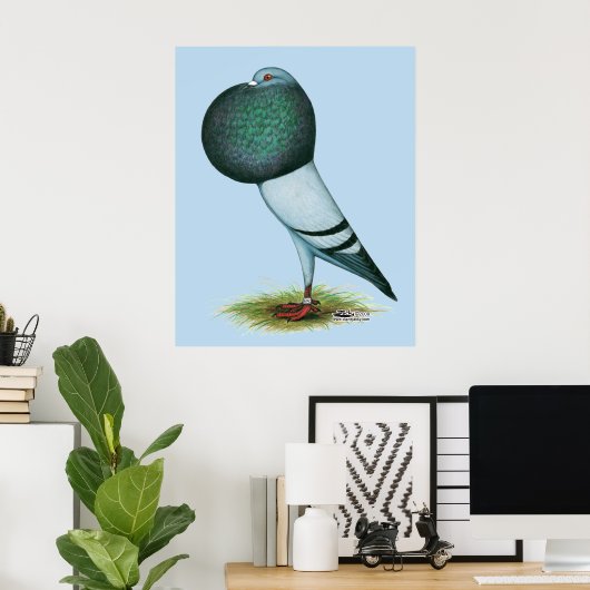 Horseman Pouter Blue Poster (Thuiskantoor)