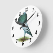 Horseman Pouter Pigeon Blue Ronde Klok (Hoek)