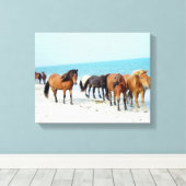 Horses Assateague Nationaal Zee Shore Maryland Canvas Afdruk (Insitu (Houten vloer))