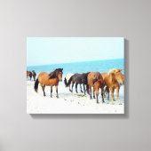 Horses Assateague Nationaal Zee Shore Maryland Canvas Afdruk (Voorkant)