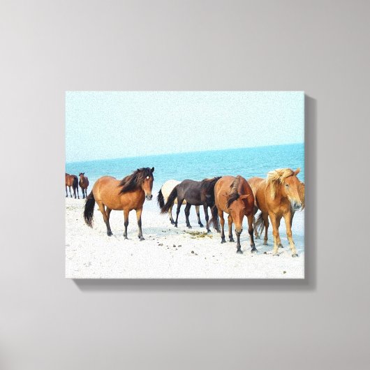 Horses Assateague Nationaal Zee Shore Maryland Canvas Afdruk (Voorkant)