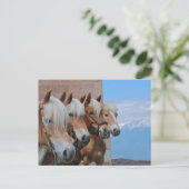 HORSES BRIEFKAART (Staand voorkant)