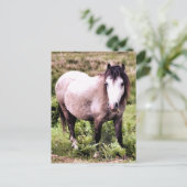 HORSES BRIEFKAART (Staand voorkant)