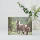 Horses Briefkaart (Staand voorkant)