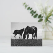 Horses Briefkaart (Staand voorkant)