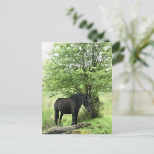 HORSES BRIEFKAART (Staand voorkant)
