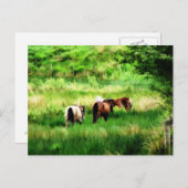 HORSES BRIEFKAART (Voorkant / Achterkant)