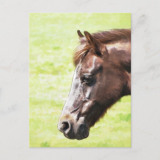 HORSES BRIEFKAART (Voorkant)