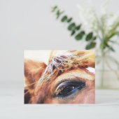 HORSES BRIEFKAART (Staand voorkant)