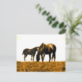 Horses Briefkaart (Staand voorkant)