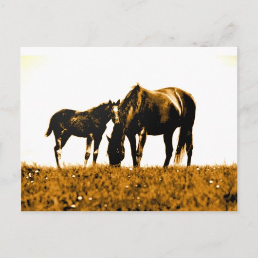 Horses Briefkaart (Voorkant)