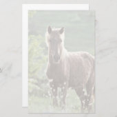 Horses Briefpapier (Voorkant / Achterkant)