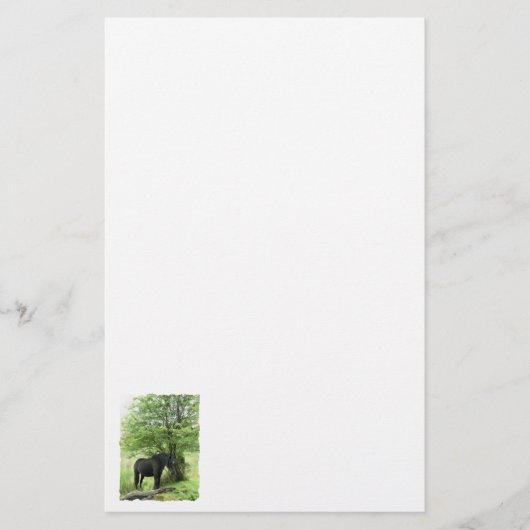 HORSES BRIEFPAPIER (Voorkant)