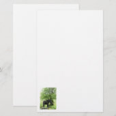 HORSES BRIEFPAPIER (Voorkant / Achterkant)