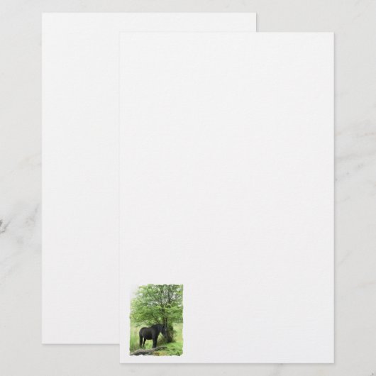 HORSES BRIEFPAPIER (Voorkant / Achterkant)