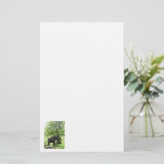 HORSES BRIEFPAPIER (Staand voorkant)