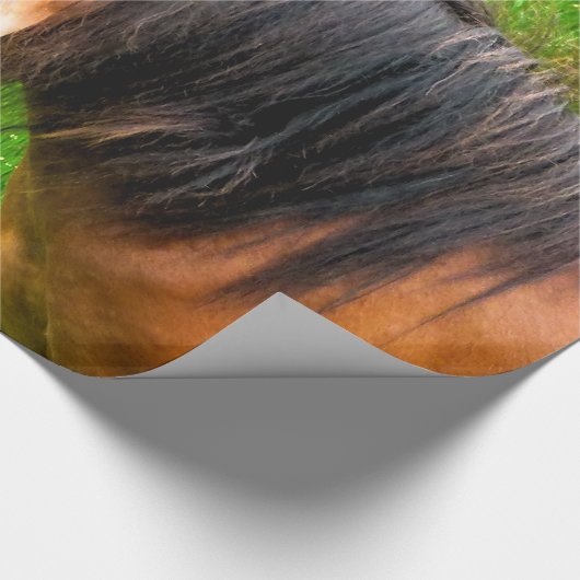 HORSES CADEAUPAPIER (Hoek)