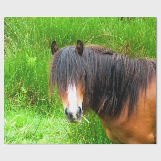 HORSES CADEAUPAPIER (Vlak)