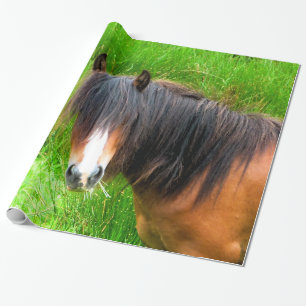 HORSES CADEAUPAPIER