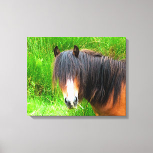 HORSES CANVAS AFDRUK