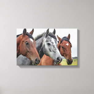 Horses Canvas Afdruk