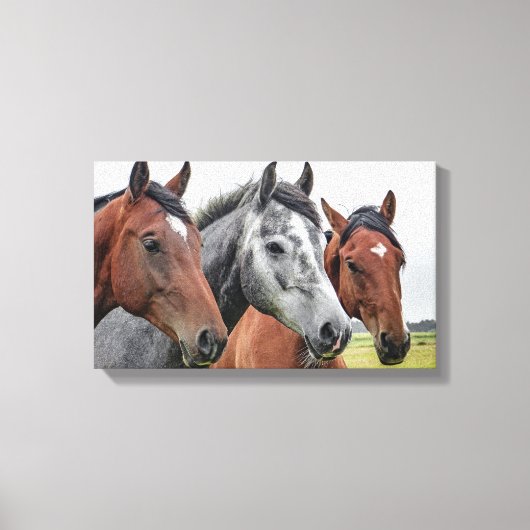 Horses Canvas Afdruk (Voorkant)