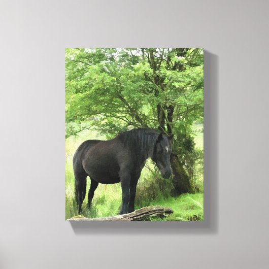 HORSES CANVAS AFDRUK (Voorkant)