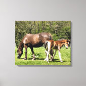 HORSES CANVAS AFDRUK (Voorkant)
