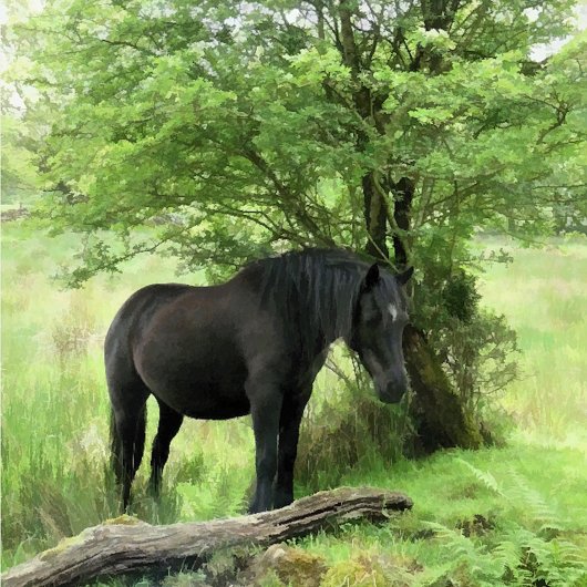 HORSES CANVAS AFDRUK